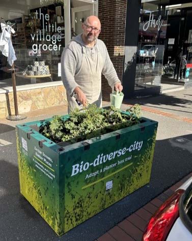 Man watering planter box