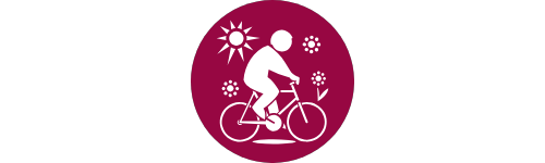 icon for Transport person riding a bicycle