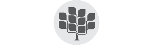 Icon for Best Practice Standards displayed as a tree