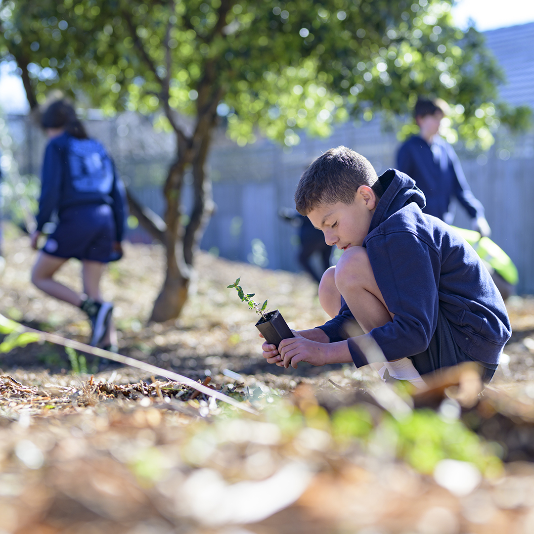 School children planting tress in local park